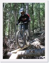 IMG_8102 * 1200 x 1600 * (435KB)