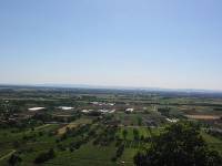 IMG_7552 